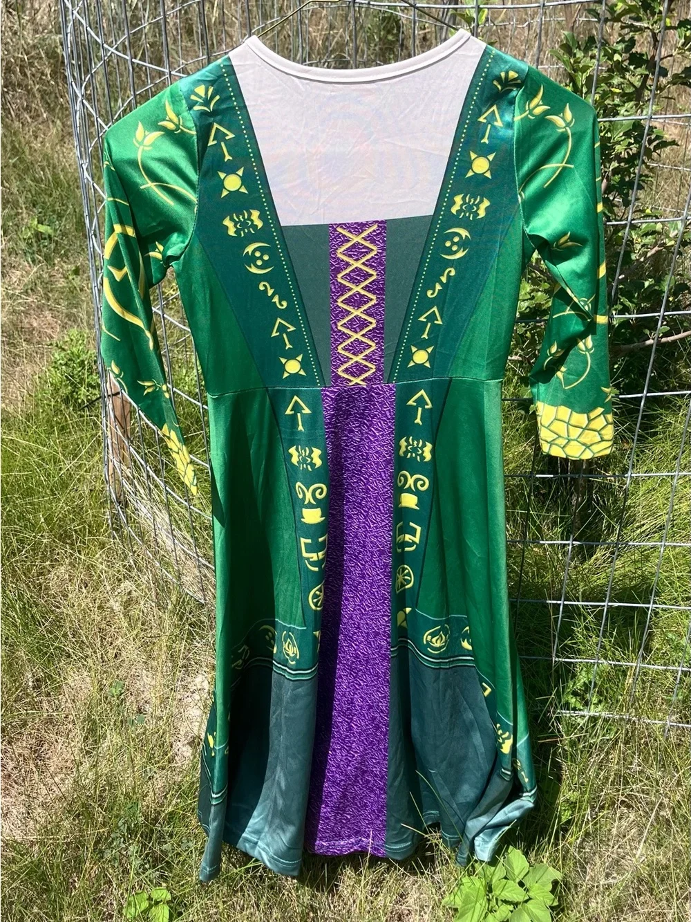 Hocus Pocus Winifred Sanderson Costume